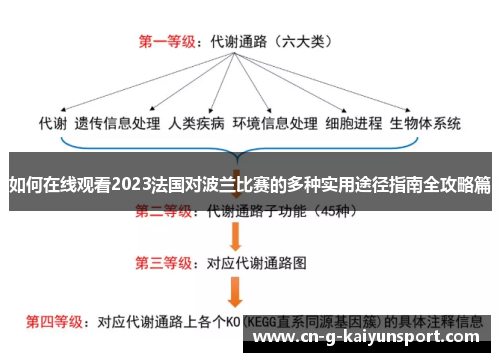 如何在线观看2023法国对波兰比赛的多种实用途径指南全攻略篇
