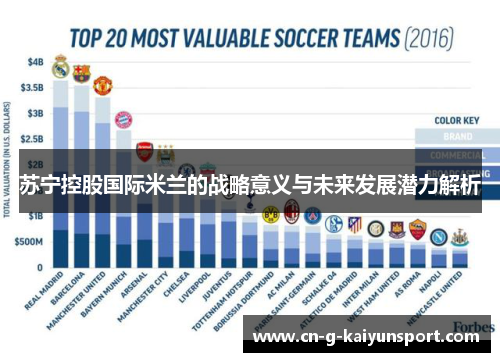 苏宁控股国际米兰的战略意义与未来发展潜力解析 苏宁控股国际米兰的战略意义与未来发展潜力解析