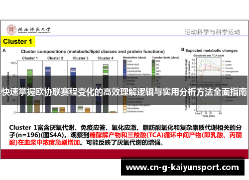 快速掌握欧协联赛程变化的高效理解逻辑与实用分析方法全面指南 快速掌握欧协联赛程变化的高效理解逻辑与实用分析方法全面指南