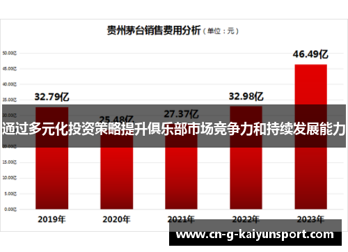 通过多元化投资策略提升俱乐部市场竞争力和持续发展能力 通过多元化投资策略提升俱乐部市场竞争力和持续发展能力