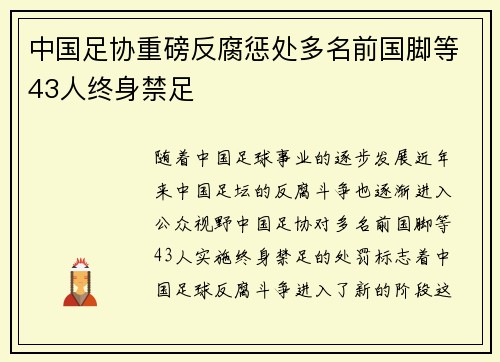中国足协重磅反腐惩处多名前国脚等43人终身禁足